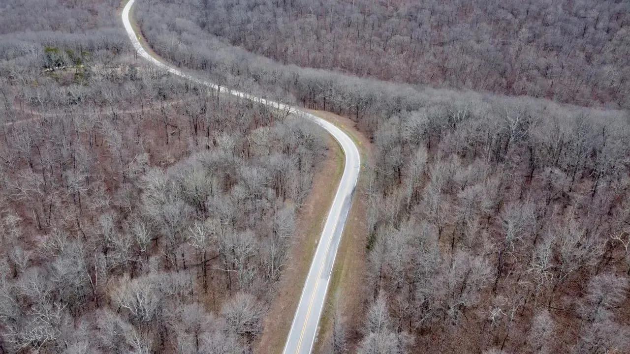 12294493-21