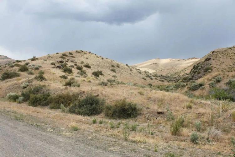 12.8 acres with Natural Spring, Views, Owner Financing