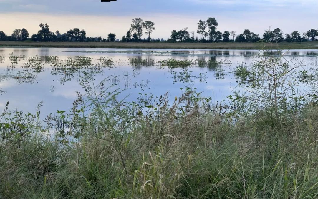 433+- acres Waterfowl property New Madrid County Missouri
