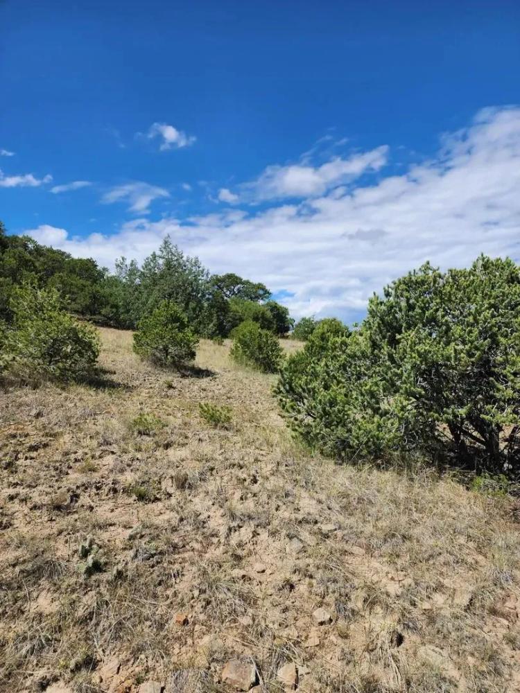 TBD Pinion Ridge Drive, Aguilar, CO 81020