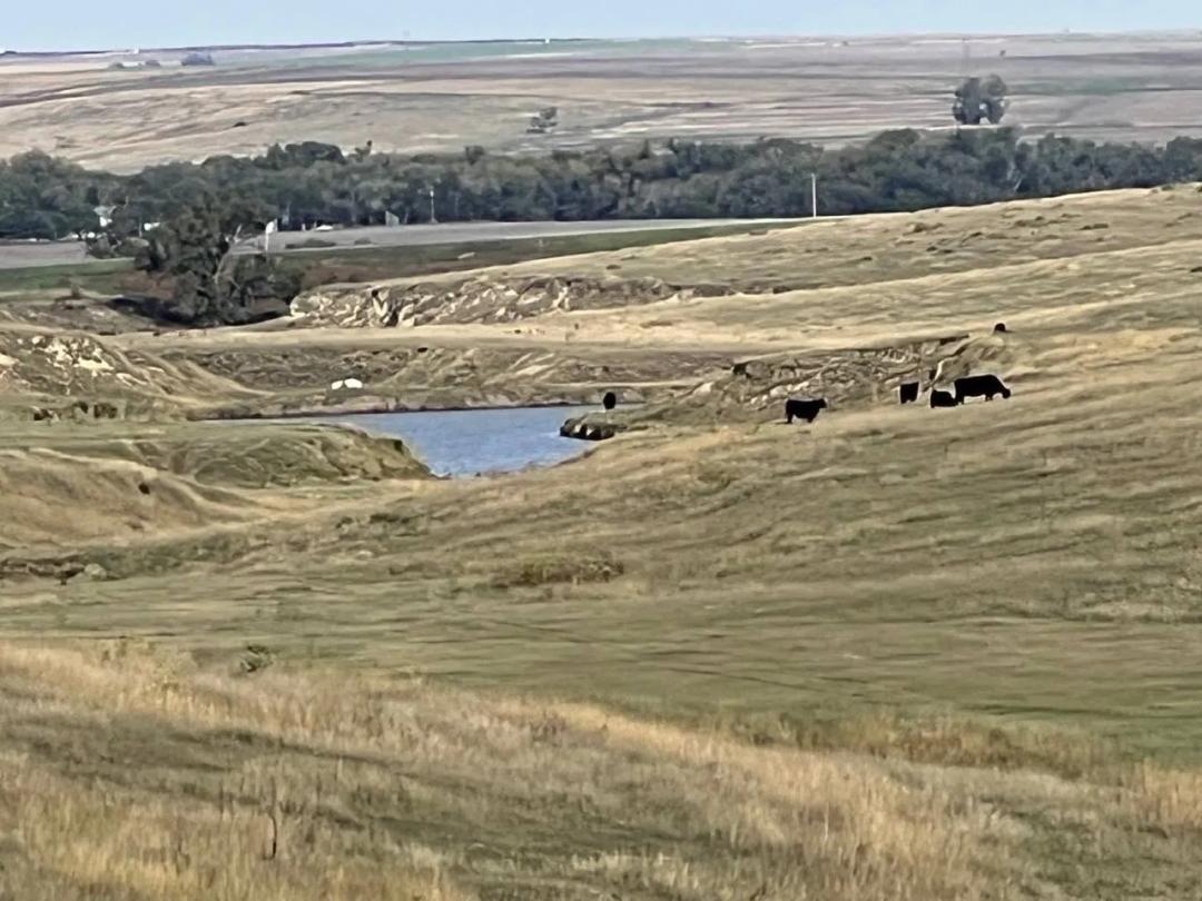615± ACRES CROPLAND &amp; GRASS - DECATUR COUNTY, KS