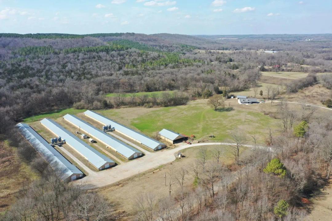 PRICE REDUCED - Rae Mountain Broiler Farm – Four House Farm Russellville, Alabama