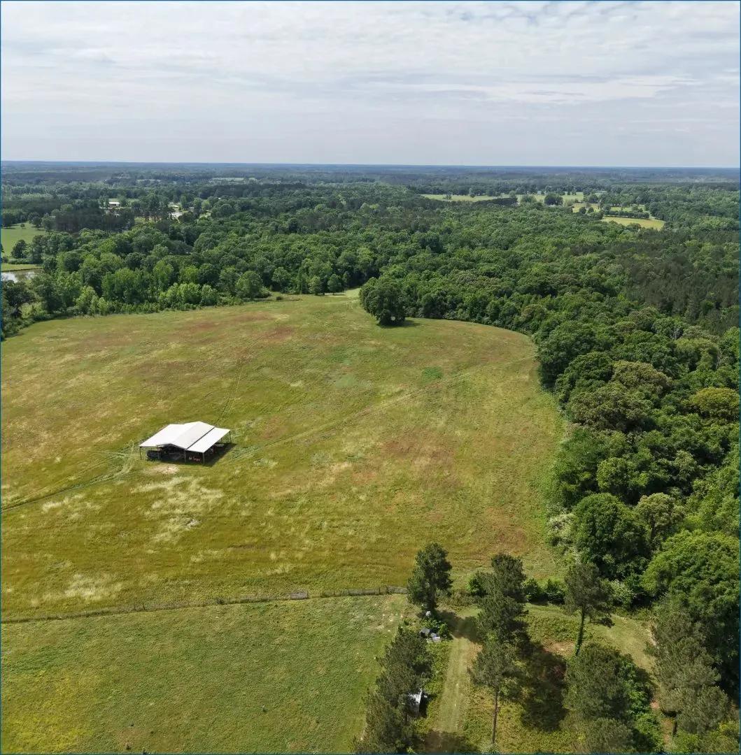 100.18 Acres in Lawrence County in Jayess, MS
