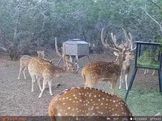 12364308-5