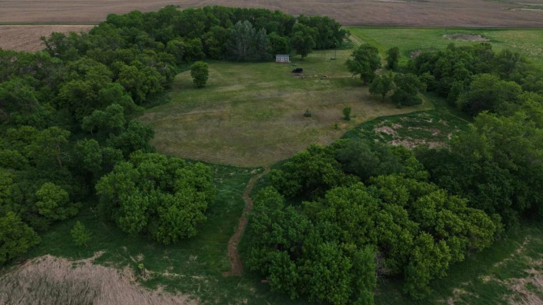 14+/- Acre Build Site - Roberts County, SD