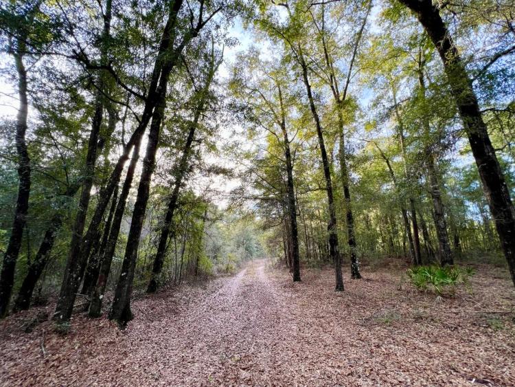 198.00 Acres at 0 Industrial Parkway