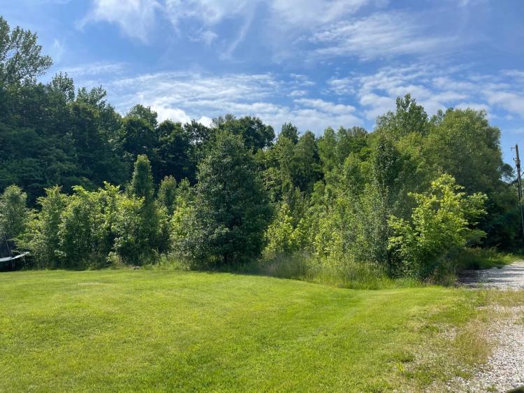 Wooded 1.15± Acre City Lot | Build Your Dream Home!