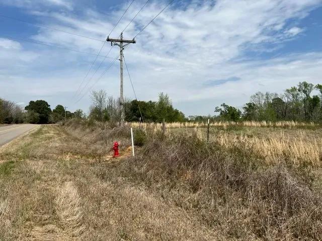 19+/- Acres Future Homesite Houston County, AL