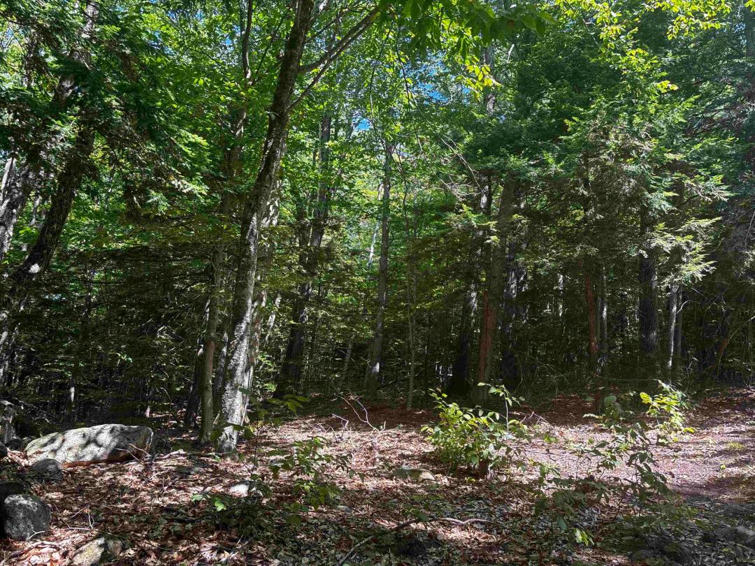 10.00 Acres at 28 Sky Lane