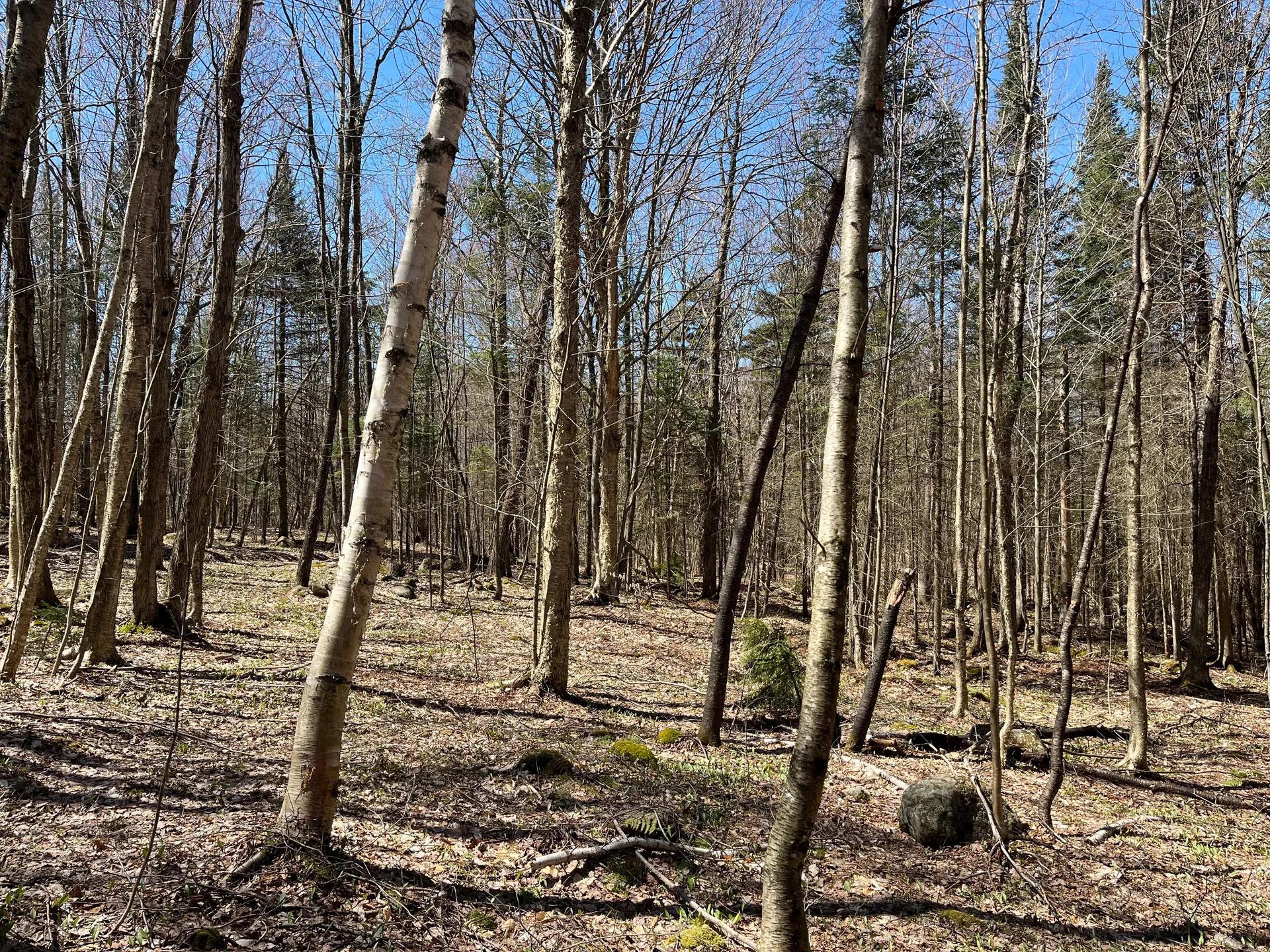 12456354-31