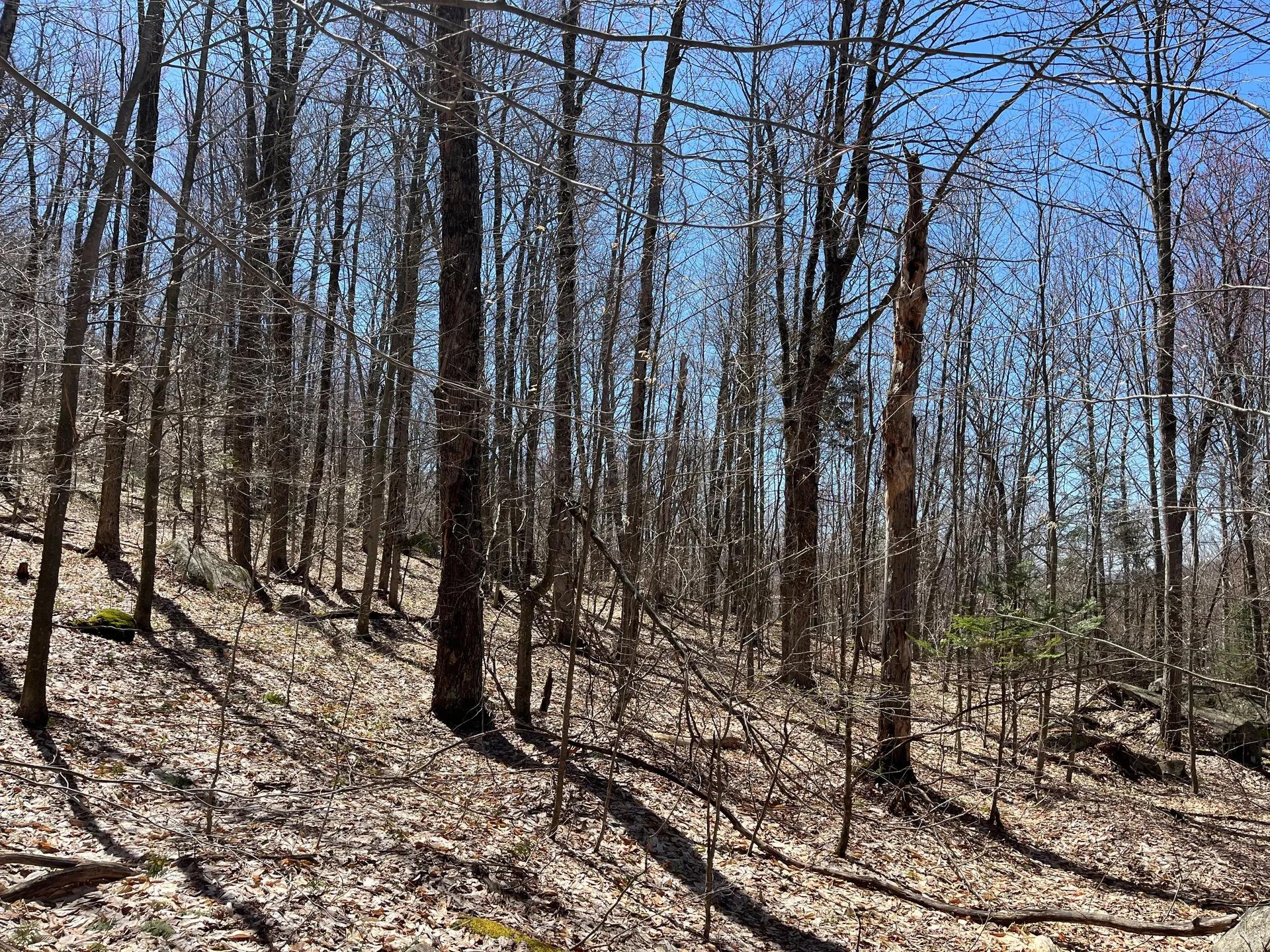 12456354-33