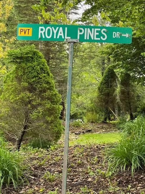 Royal Pines Lane