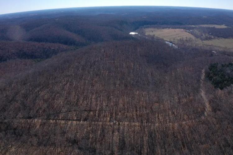80 Acres with River Access Dallas County Mo