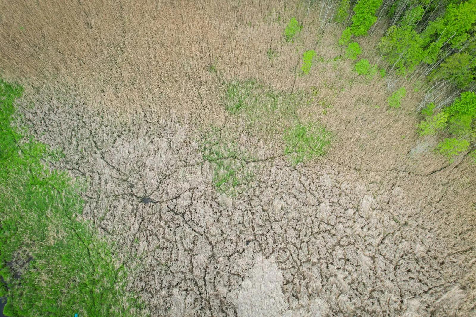 1248586-29