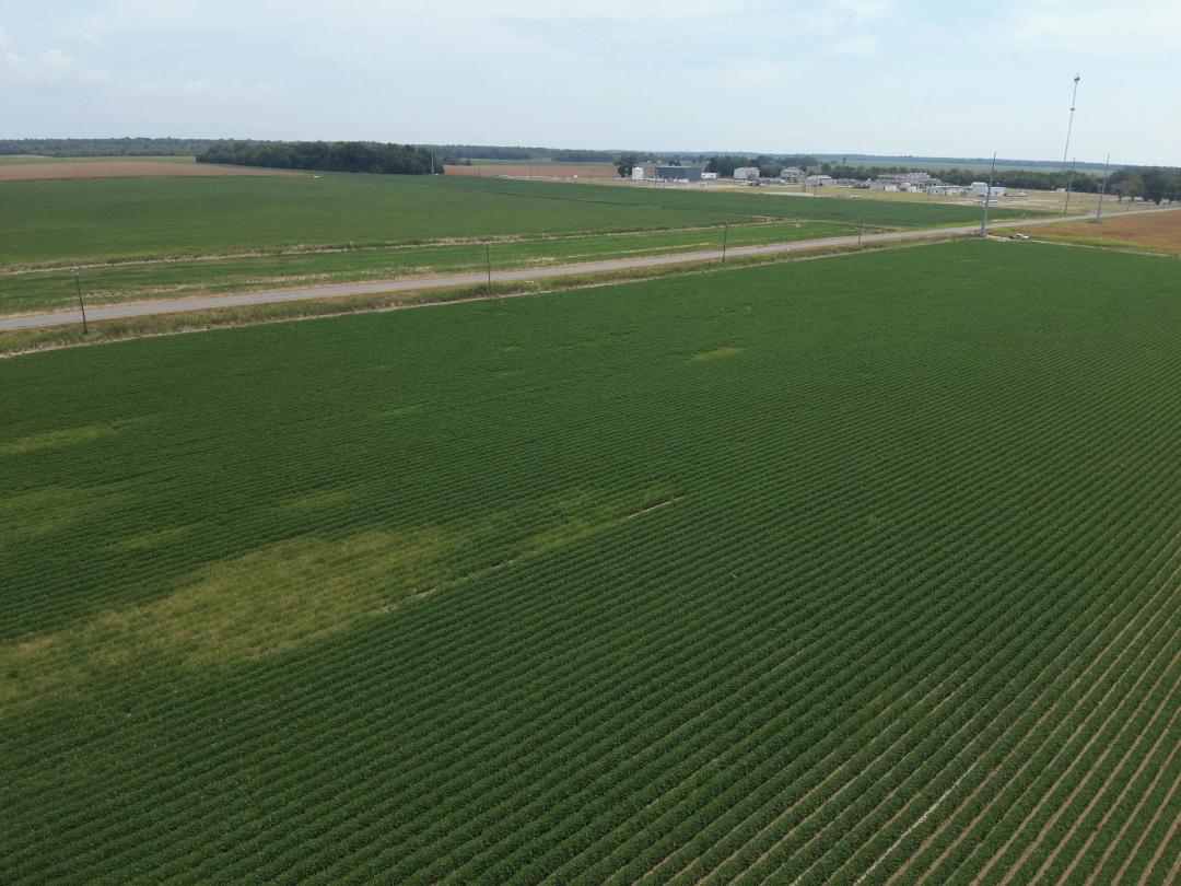 LA - West Carroll 63 acres +/-