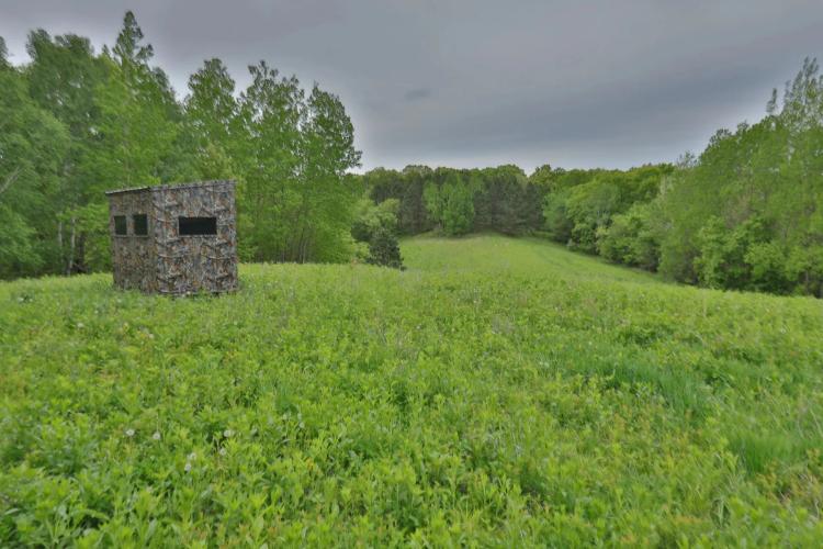 World-Class Recreational and Hunting Property for Sale in Jackson County, Wisconsin