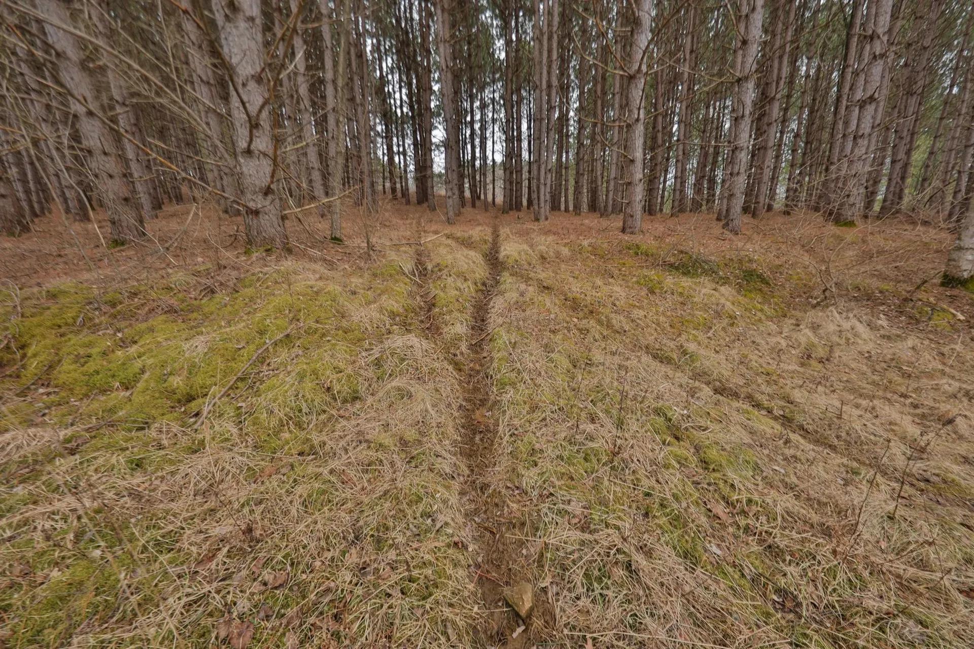 12536191-13