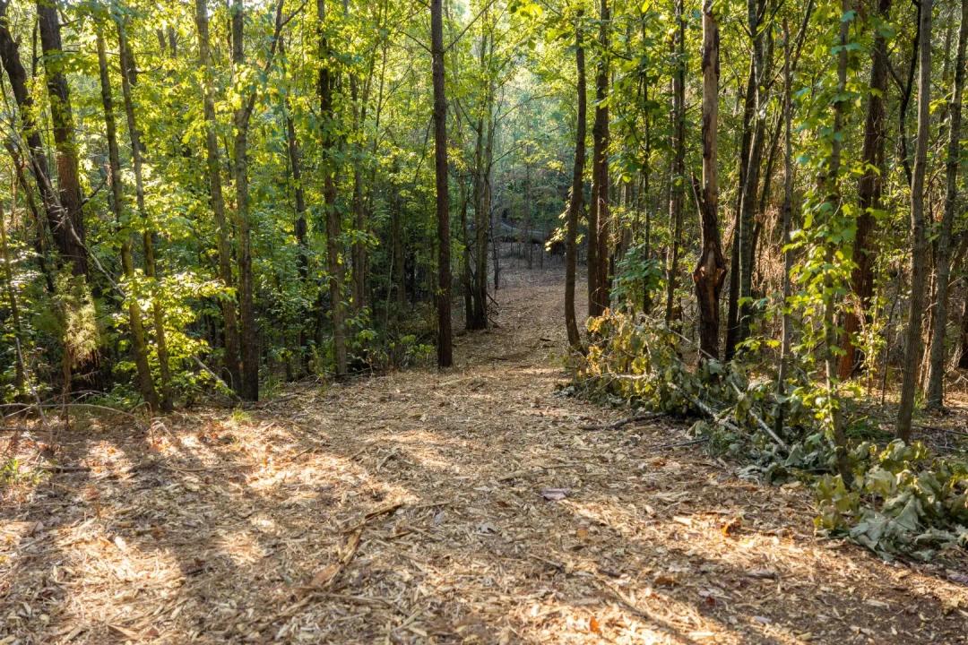 141 Acres of Timber, Hunting & Recreational Land in Smith County, TX for Sale - T Bar Ranch