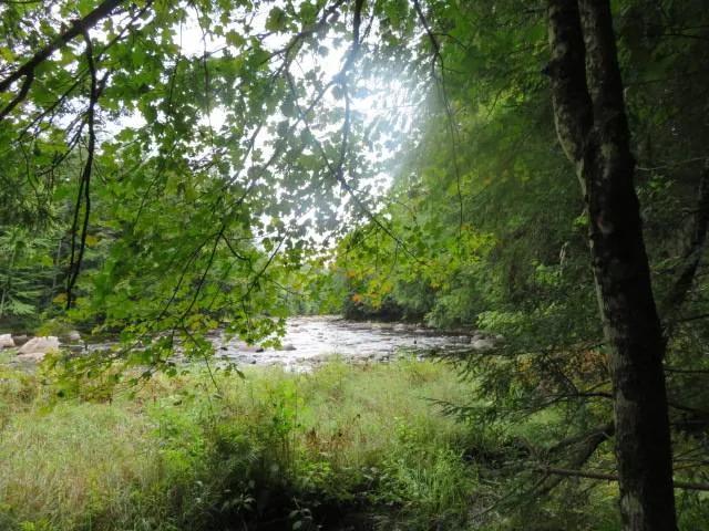 UNSPOILED ADIRONDACK WATERFRONT