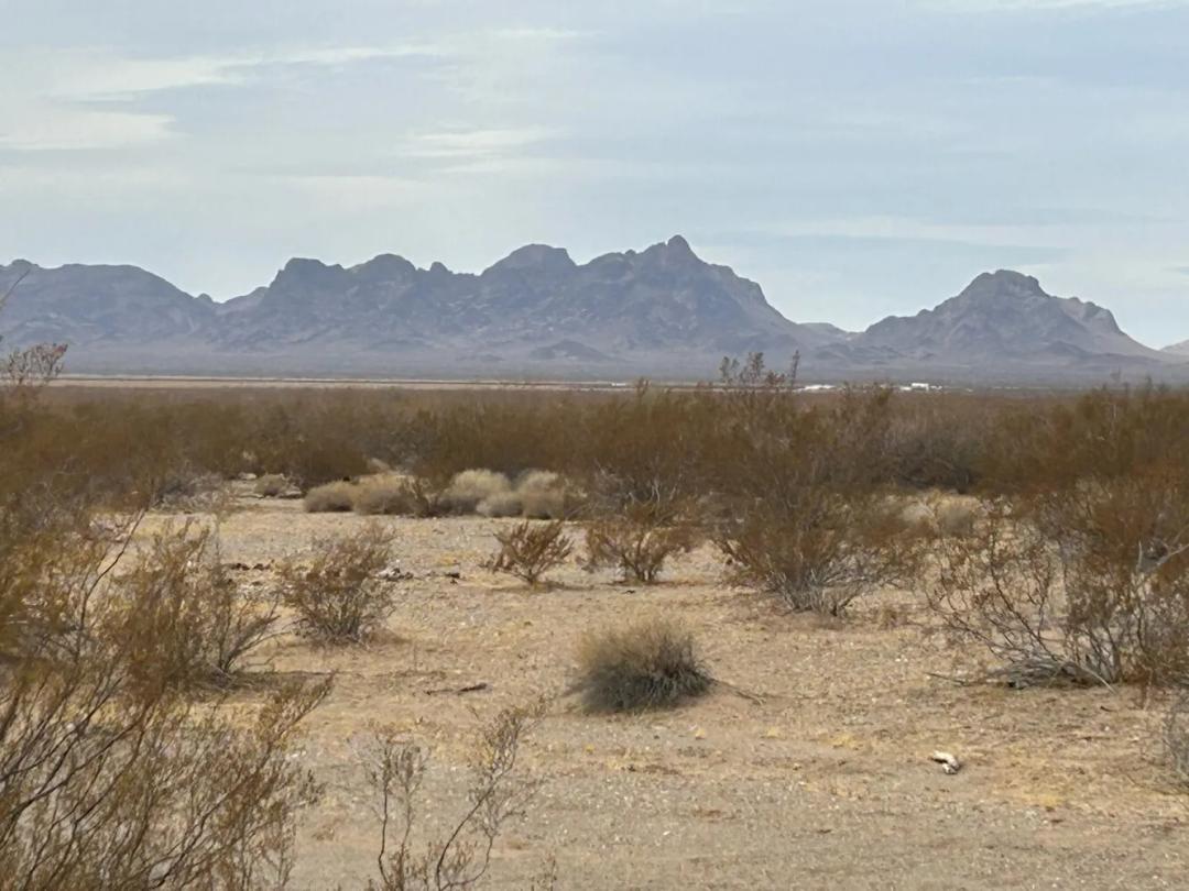 80.00 Acres at 51876 67th St