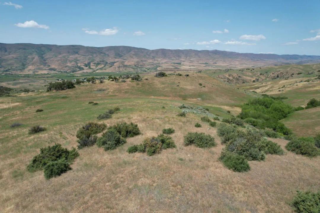 Ola Idaho Lands Parcel A