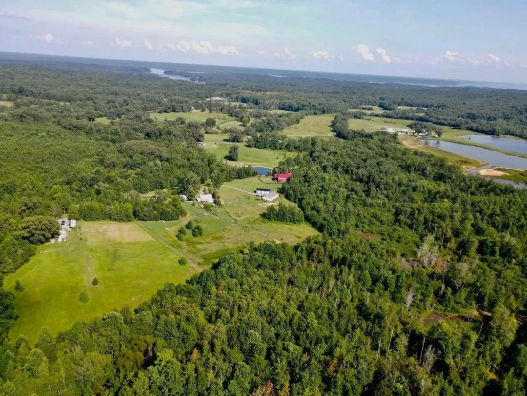 14.6 unrestricted acres near Ky Lake