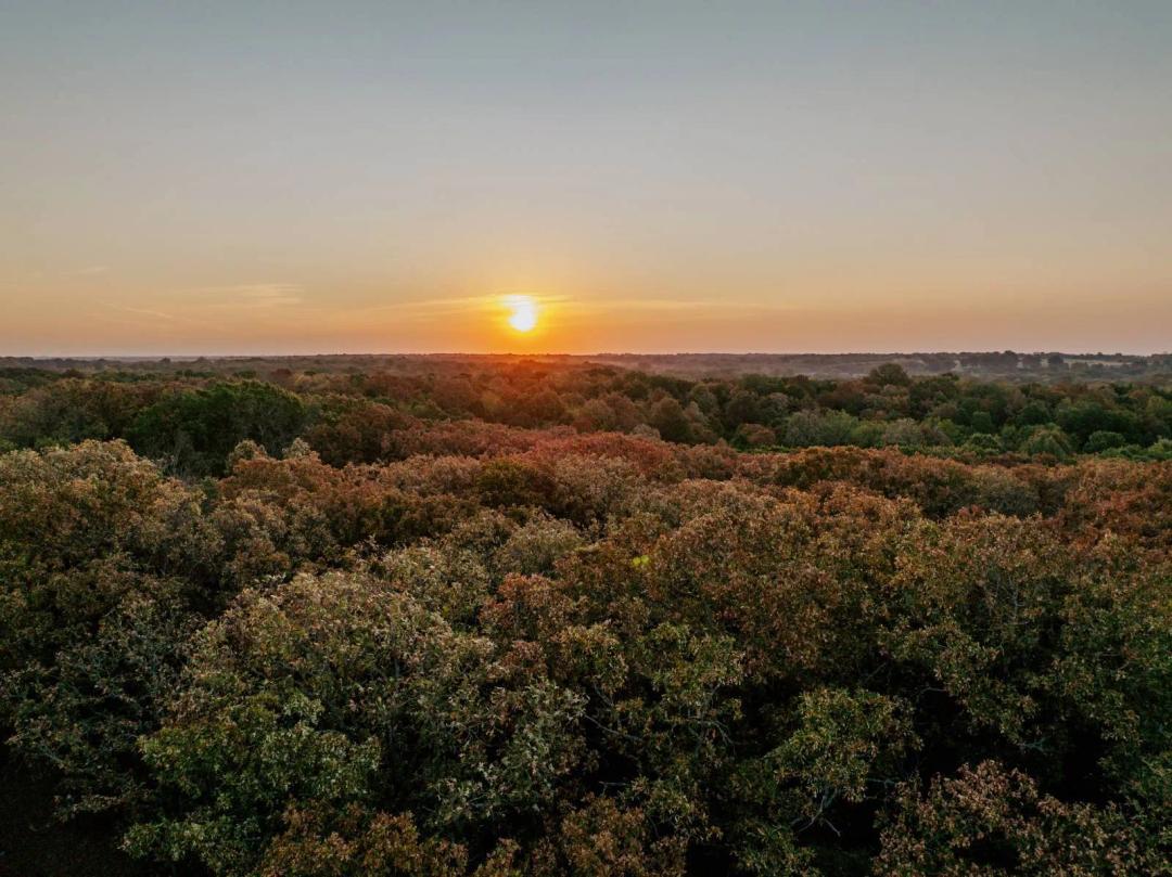 130± Acres | Whitetail and Turkey | Montgomery CO, KS