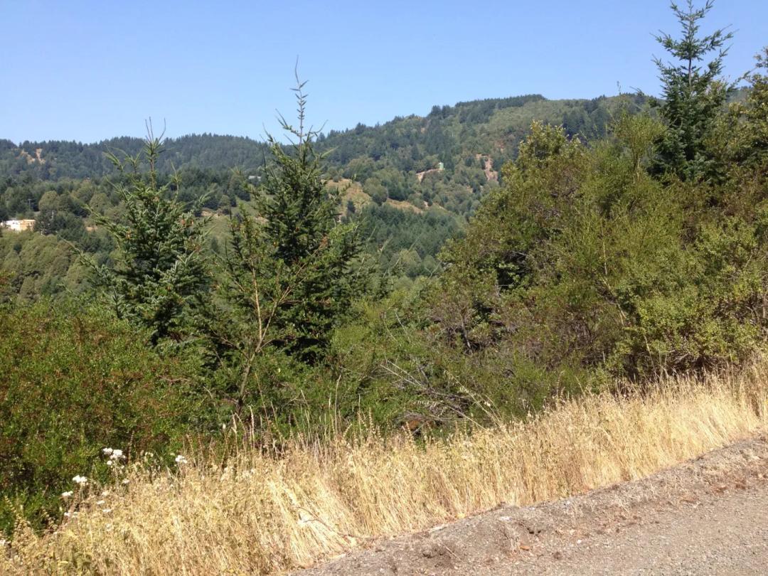 #L07346-1 Cul-de-sac Lot in Shelter Cove, Humboldt County CA $9,900.00