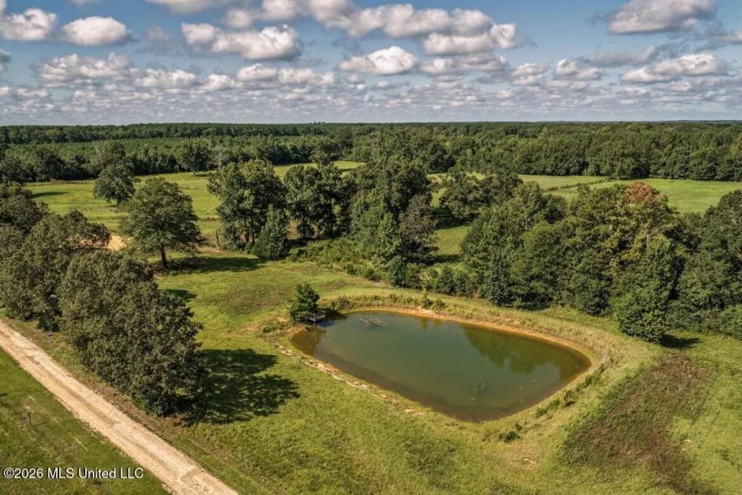 15± Acre Homesite in Smithdale, MS with Pond