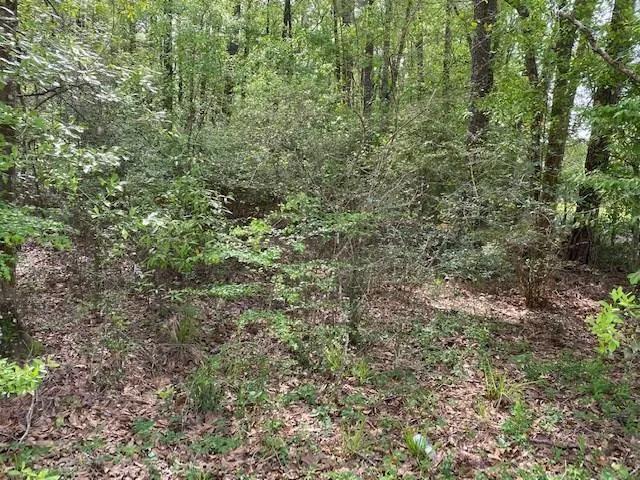 28.28 Acres at 000 Rosaryville Road