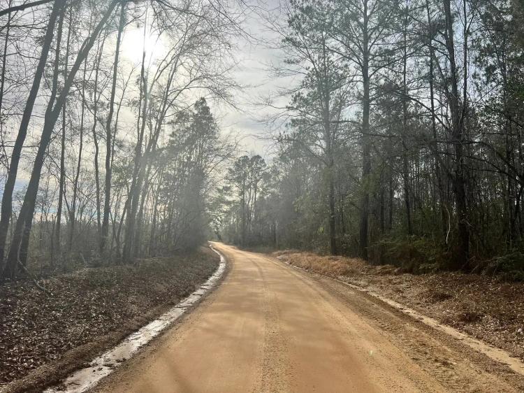 18 Acres in Wayne County, MS with Frontage on Strickland Road