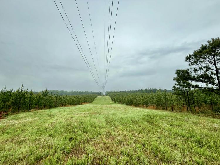 Union Buffalo Tract