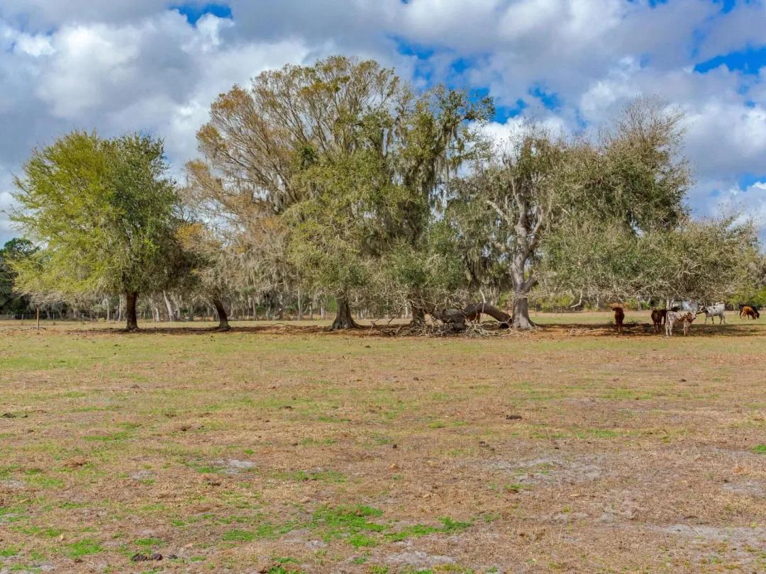 S County Road 39 Acreage Homesites Lot 3