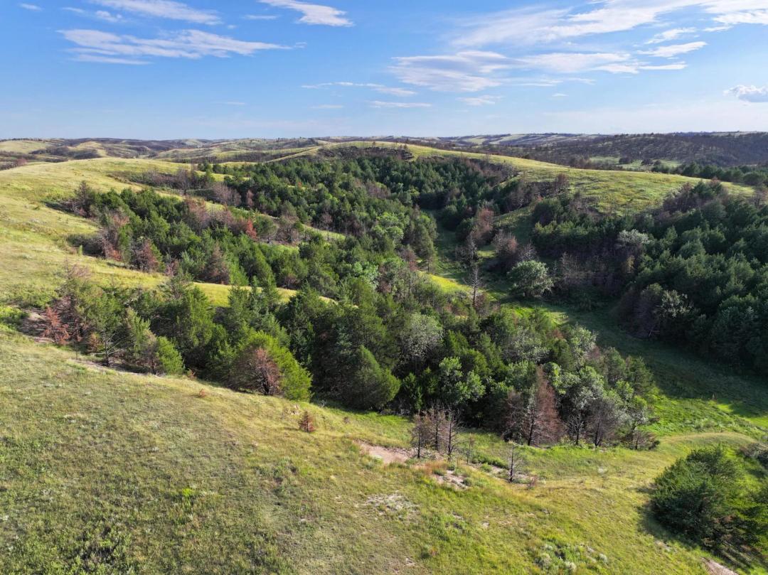 357 Acres, Brady-Moorefield Road Canyon Pasture
