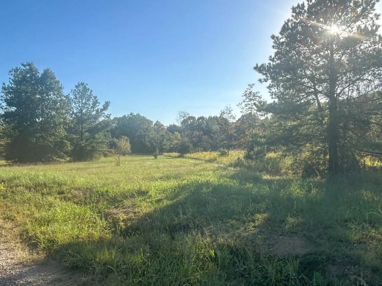 Noxubee_19 ac_3063 Fox Chase