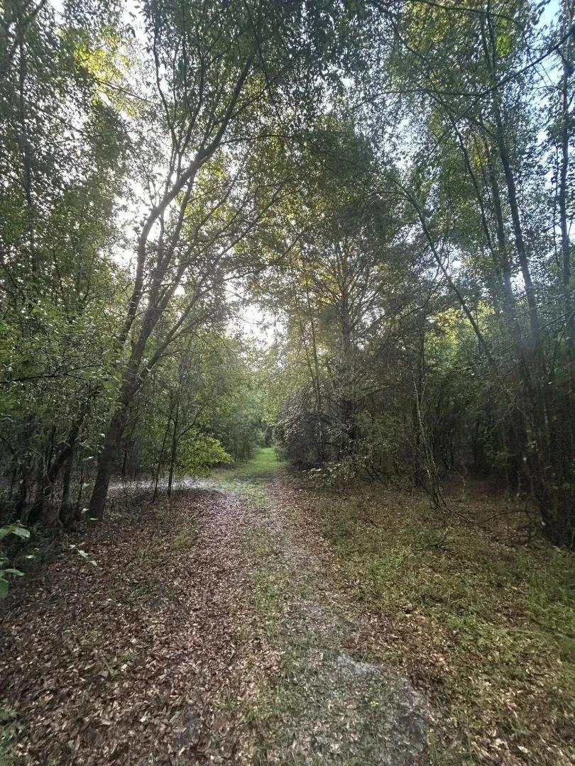 Fort White 58.7 Acres