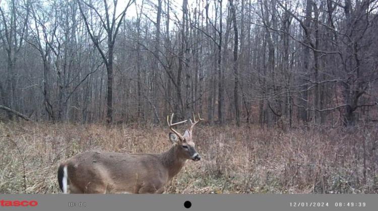 285.28 Acres at 0 Highway 431