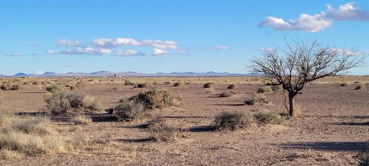 Southern New Mexico Desert - 4 adjoining lots - 2 acres