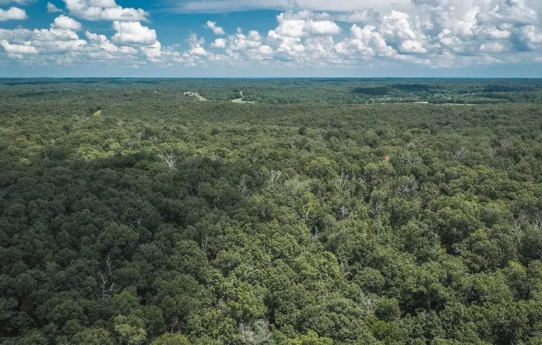 Geronimo Springs Woods-Tract 6