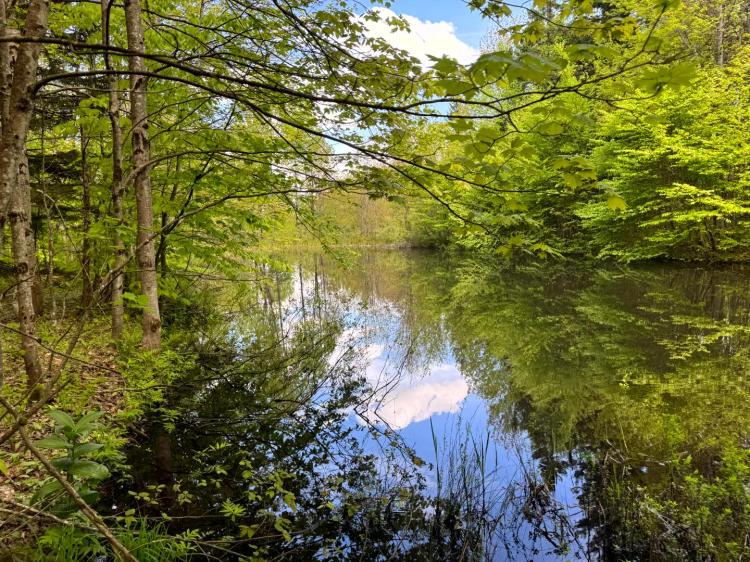 Scenic Acreage with Pond