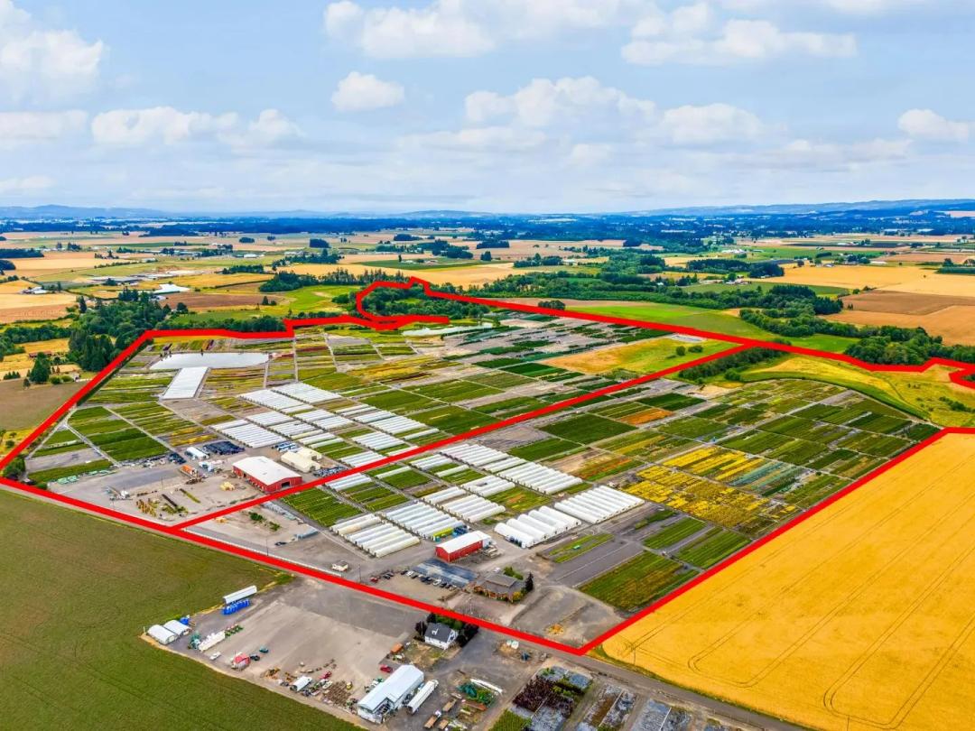 Established 300 Acre Irrigated Nursery Operation 