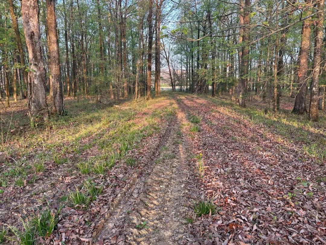 Black Prairie Hardwoods 63