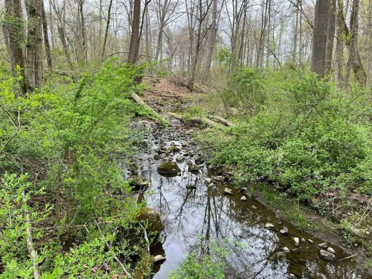Etown Woodlands