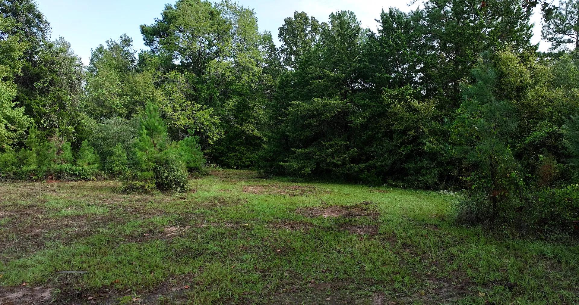 12765763-2