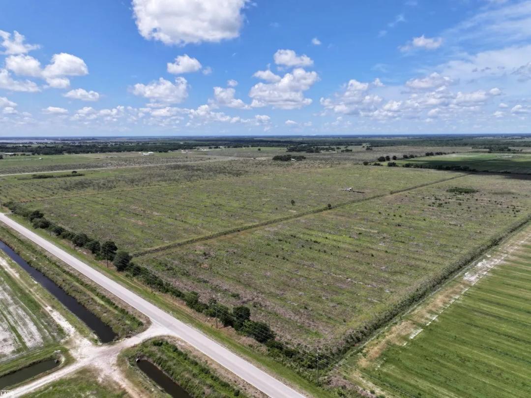 Arcadia Agricultural Development Land with Irrigation