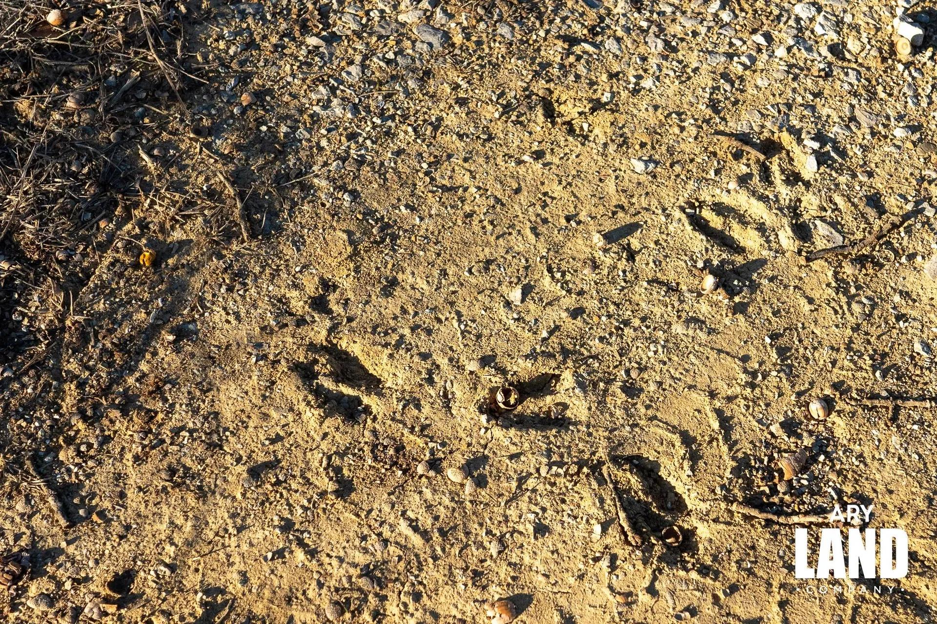 12882878-15