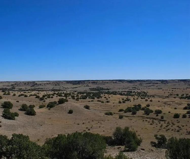  41-Acre Paradise in Las Animas County, Colorado with Incredible Views and Access 