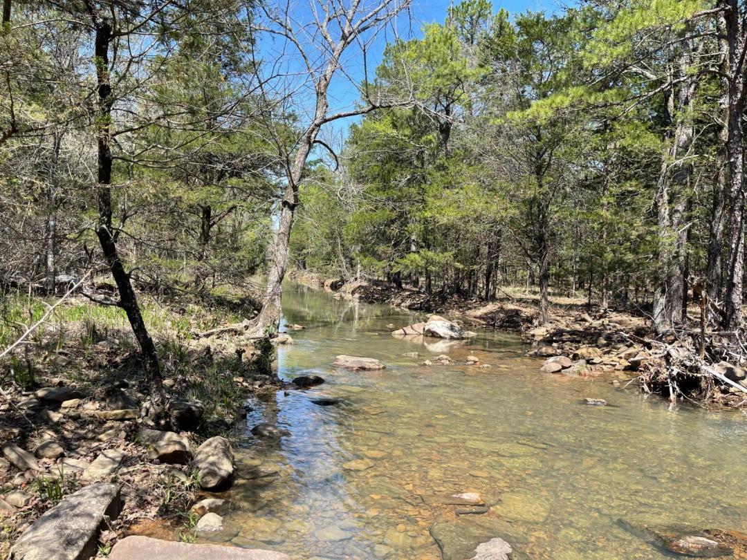 2.37 Acres at 236 Wolf Trail