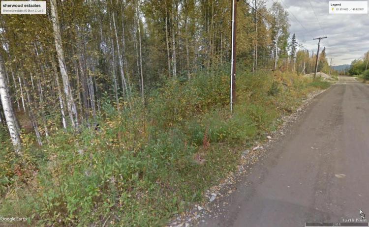 Treed Parcel - Western Outskirts Wasilla Alaska - Backs to Open Space