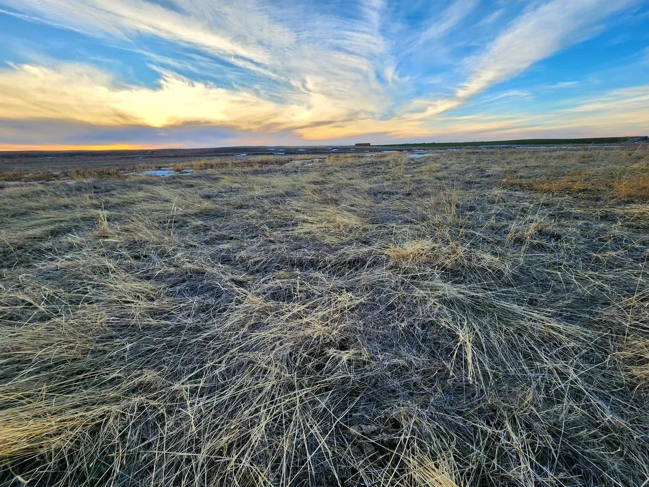 12916831-2